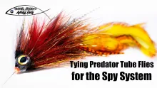 Video thumb for Spy System
