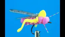 Video thumb for Shark Taco Hopper