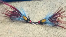 Video thumb for Blue Shrimp (Variant)