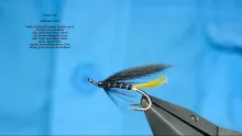 Video thumb for Stoats Tail