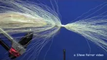 Video thumb for Hollow Semper Fleye