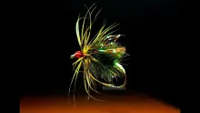 Video thumb for Grizzly Olive Spider