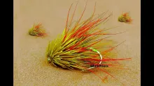 Video thumb for Sooty Olive Muddler
