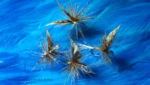 Video thumb for March Brown Dry Fly