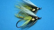 Video thumb for White Winged Akroyd