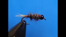 Video thumb for Hare and Copper