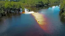 Video thumb for Fly Fishing in the jungle
