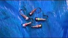 Video thumb for Walt's and Sexy Walt's Worm