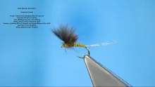 Video thumb for CDC Spring Olive Dun