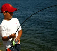 User submitted picture: Without words........