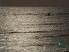 Computer screen wallpaper: Lonely angler on the big water.