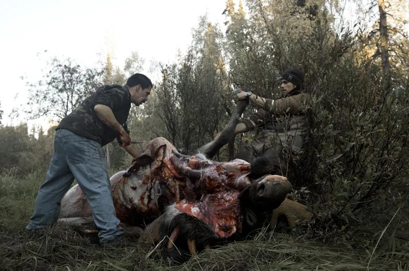 A f*cking big moose! - Dean cutting up the massive moose bull, he shot during the filming. After the kill, he thanked the Great Spirit of the Woods â an ancient hunter tradition. A moose this size will be vital food for local Alaska natives, and a big bull can feed a whole family for a winter.