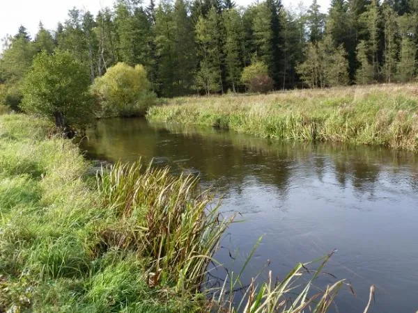 User submitted picture: River Oertze, Germany, Lo...